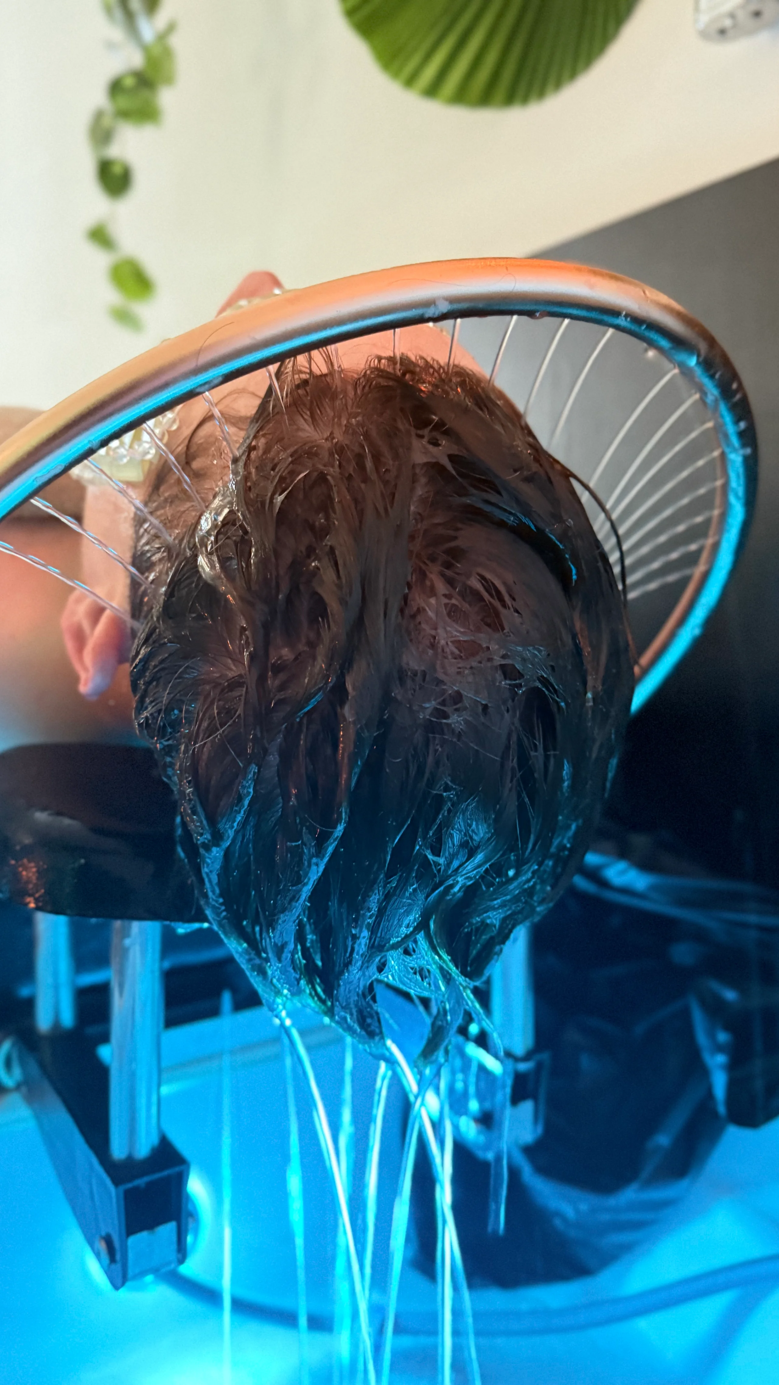 A hair treatment in the studio, with the hair under the lamp